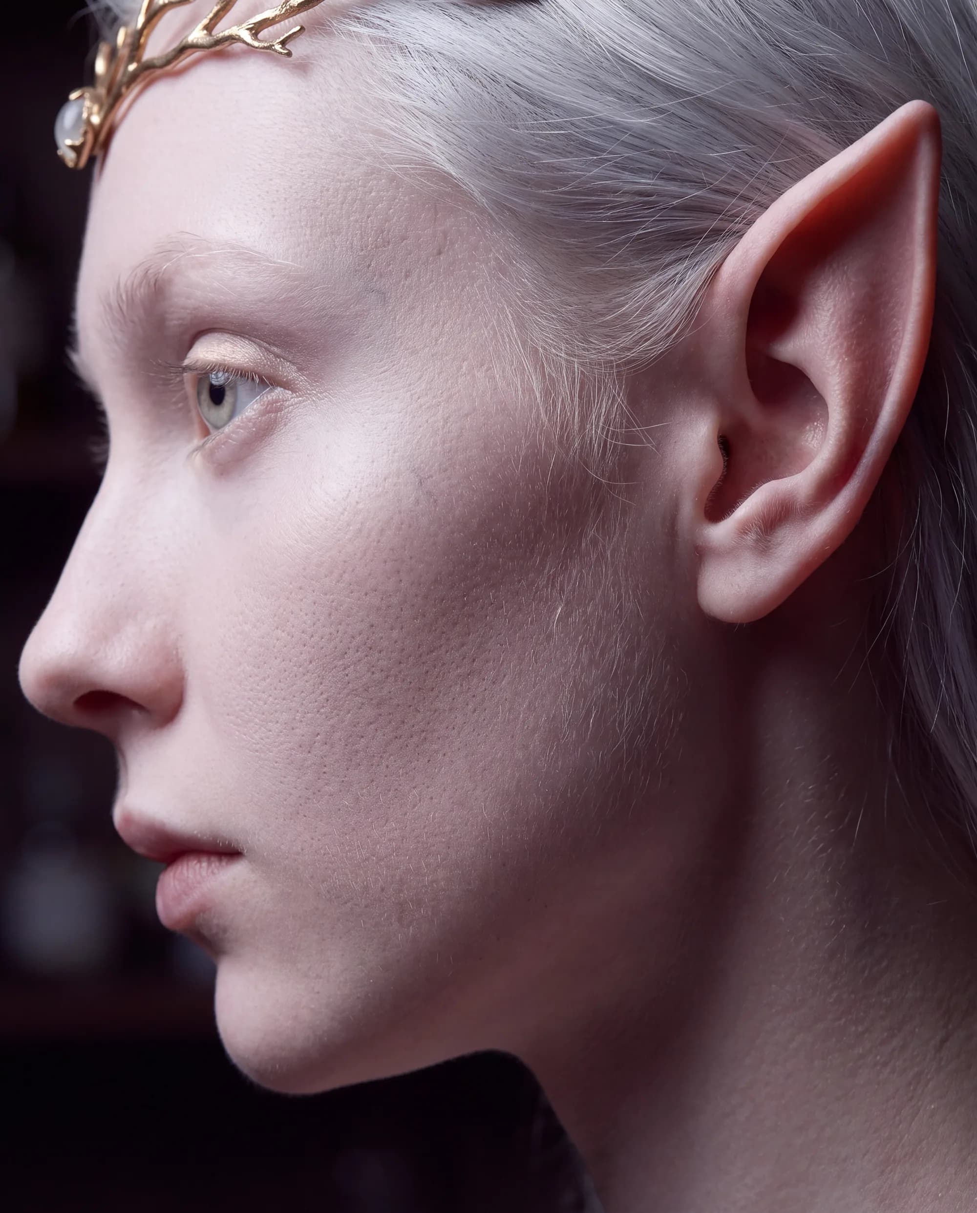 Close profile of an elf: pale skin with visible pore and fine hair, a pointed ear, and a thin gold circlet.