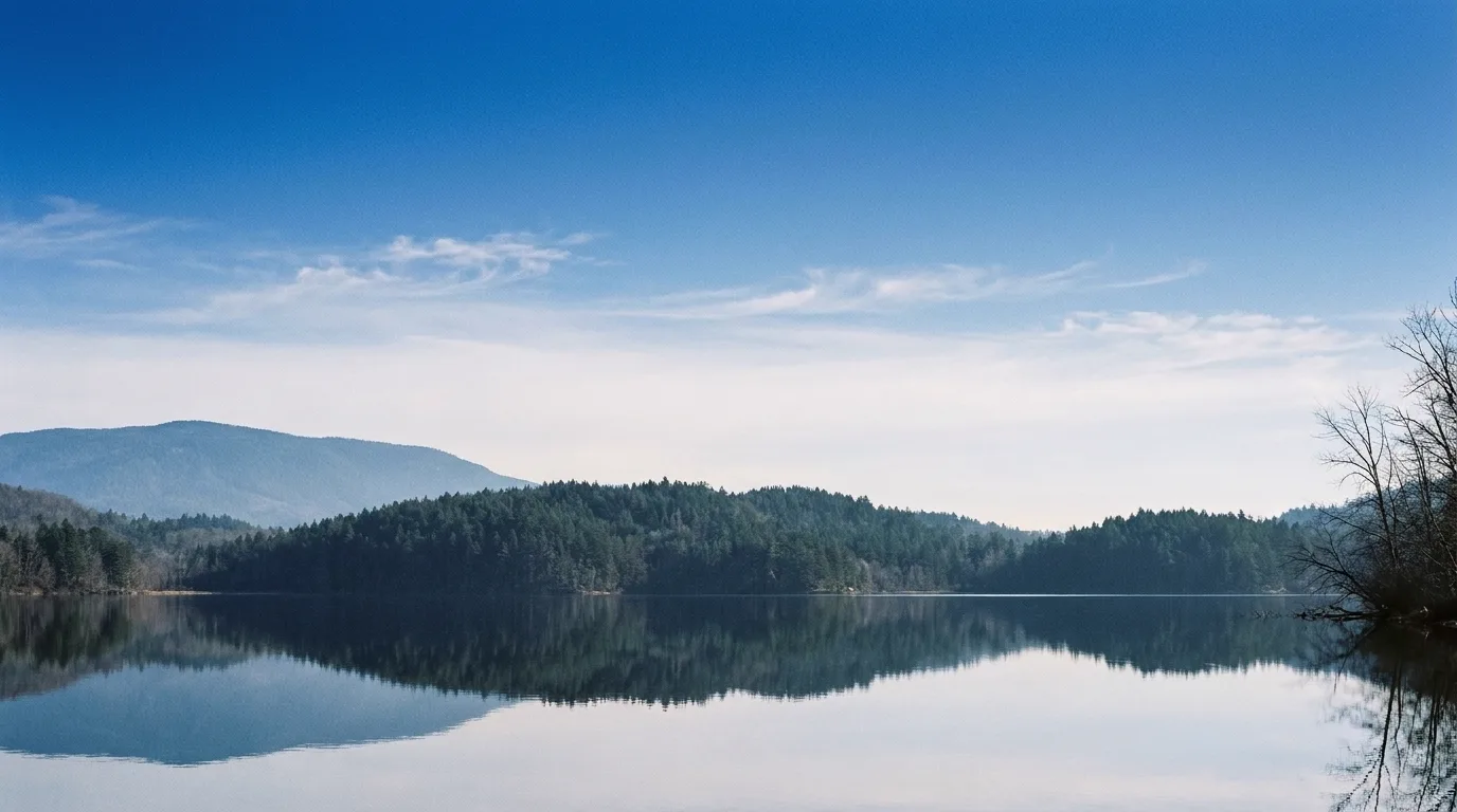 A still mountain lake at dawn, treeline mirrored perfectly on an unbroken surface, pale cloud above.
