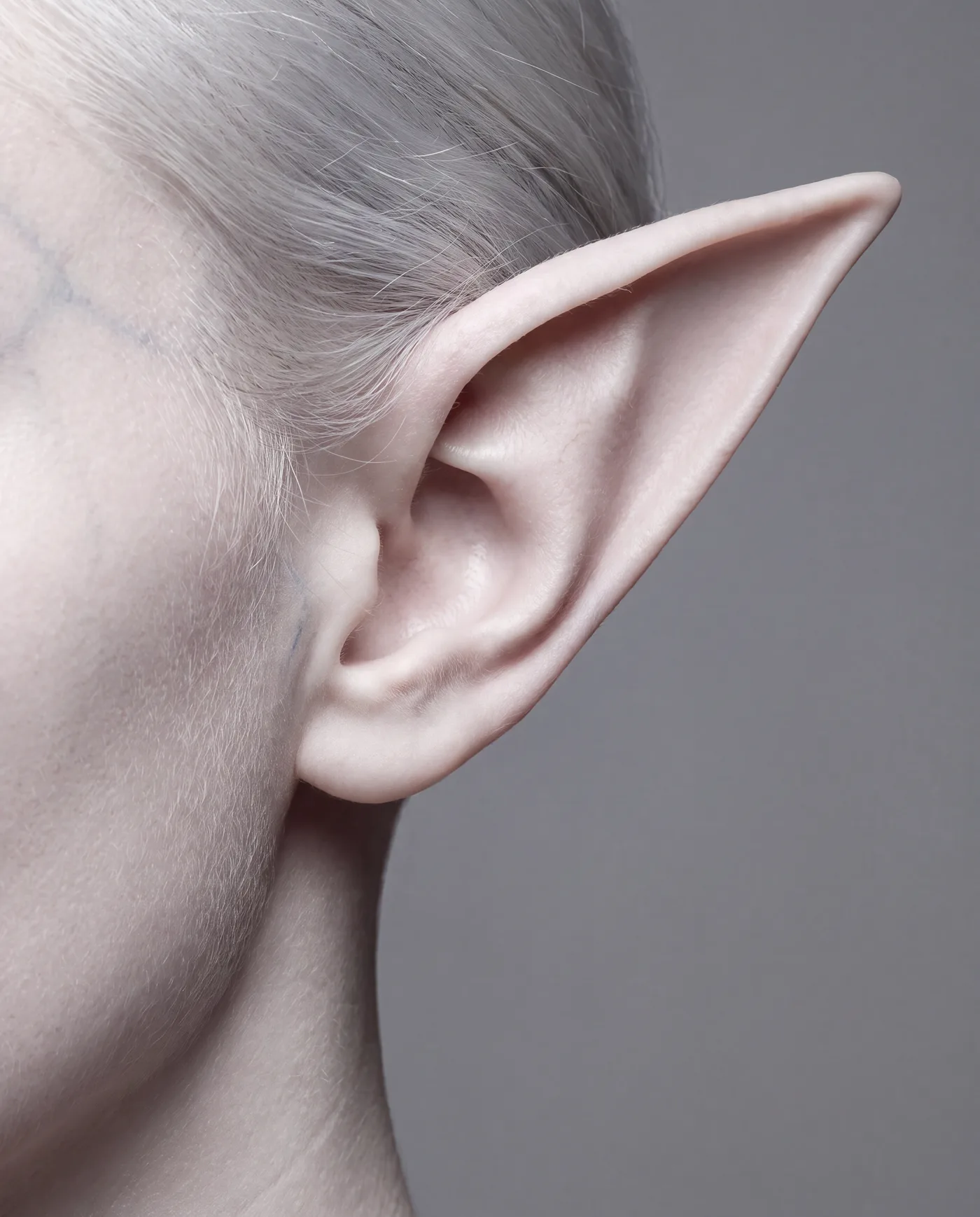 Macro study of the elf's ear.