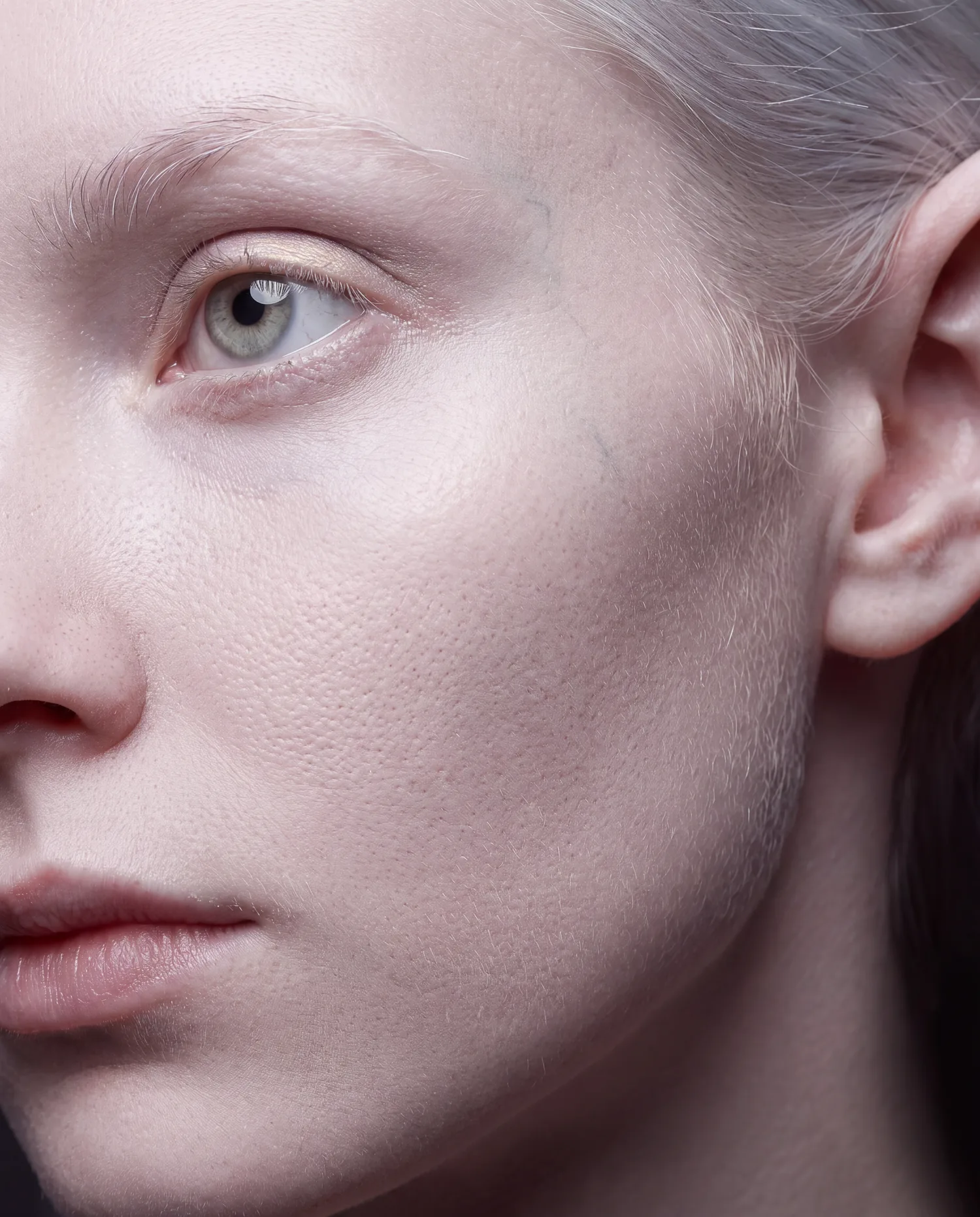 Macro of the elf's cheek and eye showing pore structure, vellus hair and a vein beneath the skin.